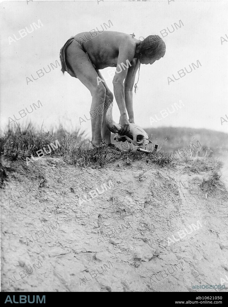 EDWARD SHERIFF CURTIS. Hu ka-lowa pifire-carrier bringing the skull, c1908. Man in breechcloth, bending over buffalo skull.