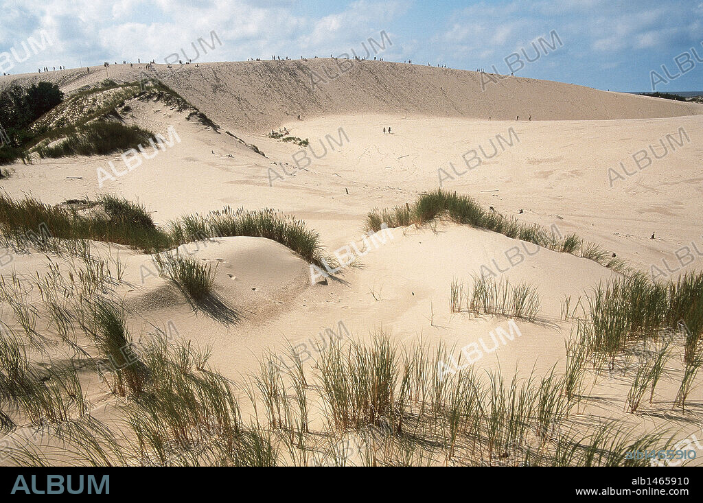 POLAND. Slowinski National Park. Landscape with dunes. The dunes have come to about 50 m. high. Near Leba. Western Pomerania.