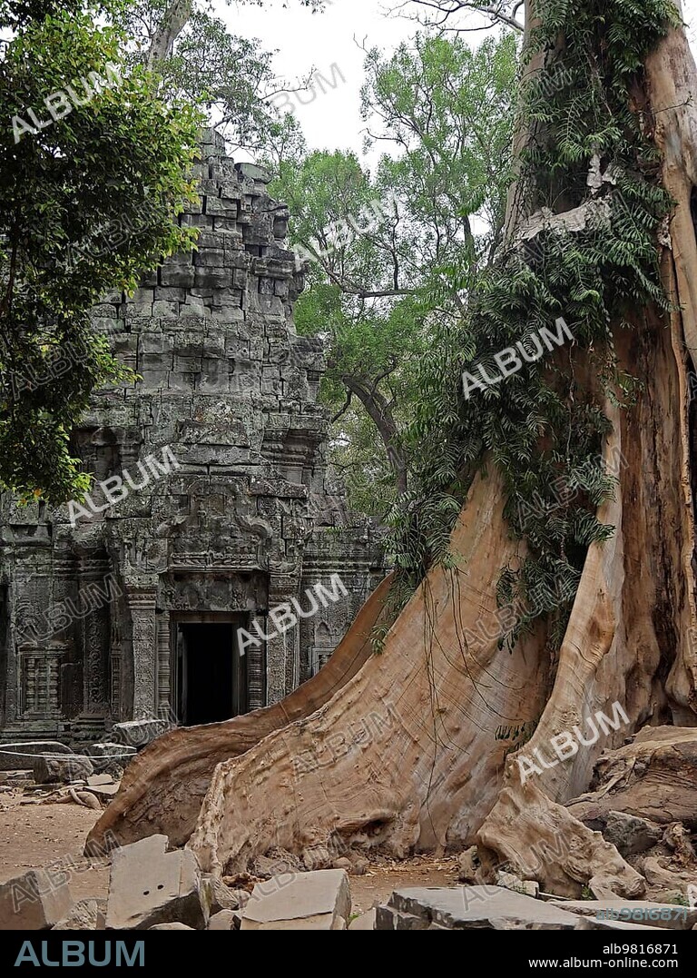 Ruins at Ta Prohm Temple; Siem Reap Province; Angkor's Temple Complex Site listed as World Heritage by Unesco in 1192; built in 1186 by King Jayavarman VII; Cambodia; Asia.