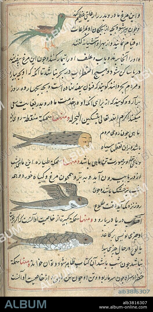 Islamic Mythical Creatures, 17th Century