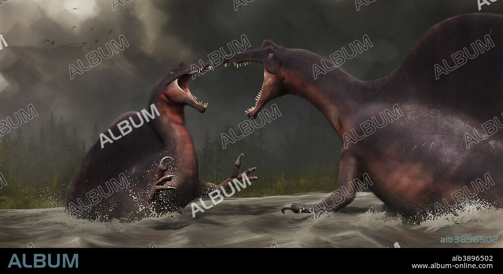 Confrontation between two Spinosaurus aegyptiacus. Reconstructed after newly described skeleton by Ibrahim, sail proposed by S. Hartman and neck posture proposed by A. Cau.