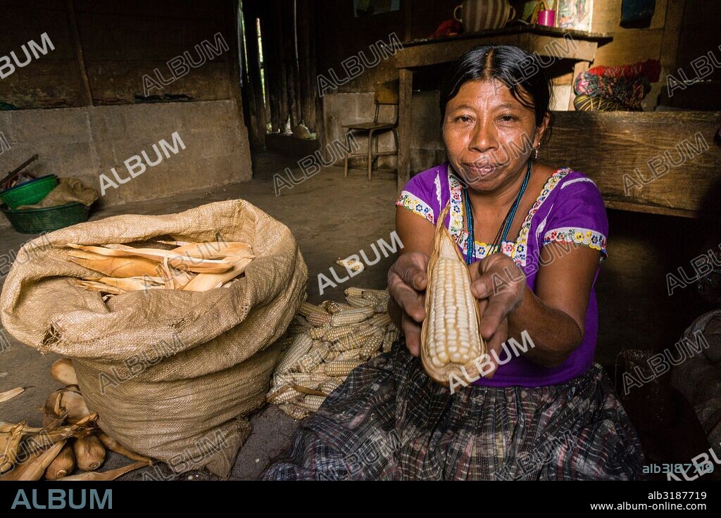 mujer Quiché secando mazorcas de maiz  ,aldea Sanuch, Lancetillo, La Parroquia, zona Reyna, Quiche, Guatemala, Central America.