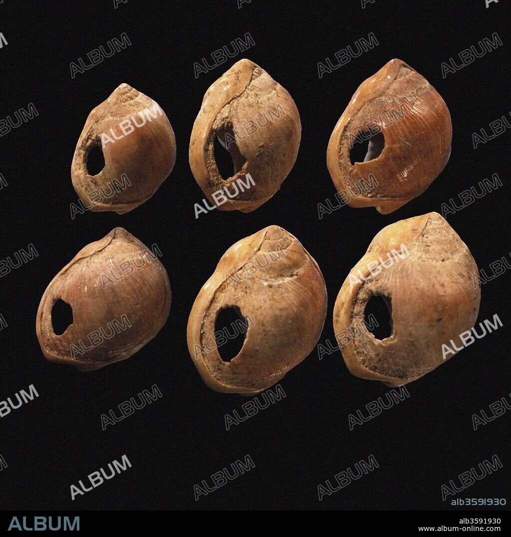 MIDDLE STONE AGE. Perforated shell beads from Blombos Cave, South Africa. The oldest artifact of mankind.