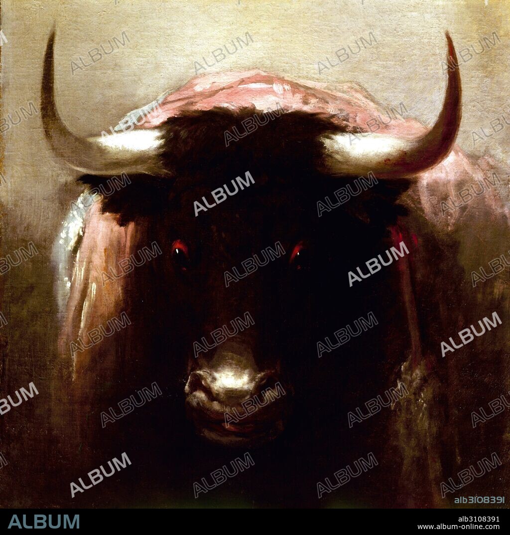 FRANCISCO DE GOYA. Toro bravo.