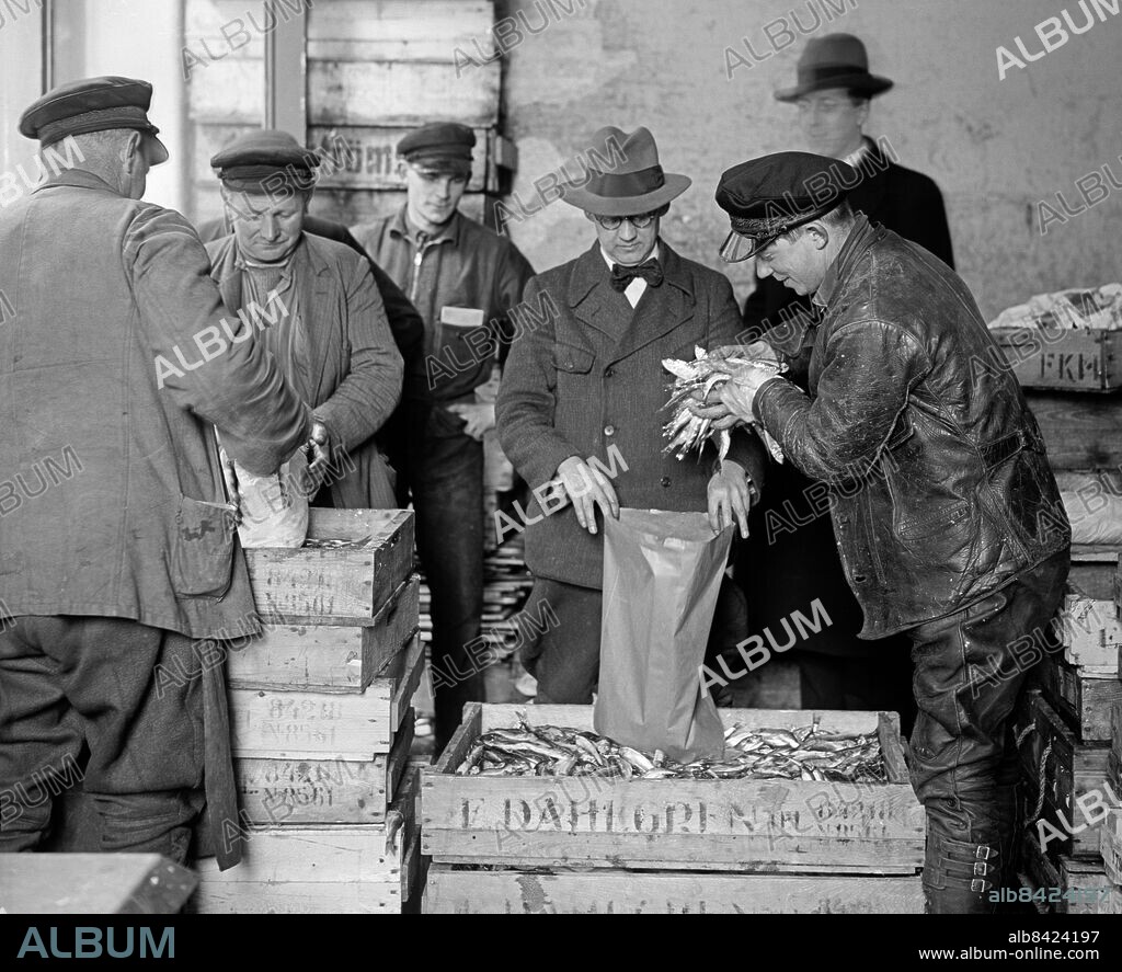STOCKHOLM 1932. Strömmingsförsäljning 1932 i fiskhallen invid Kornhamnstorg.. Fotograf okänd / Foto: TT / Kod 1900.