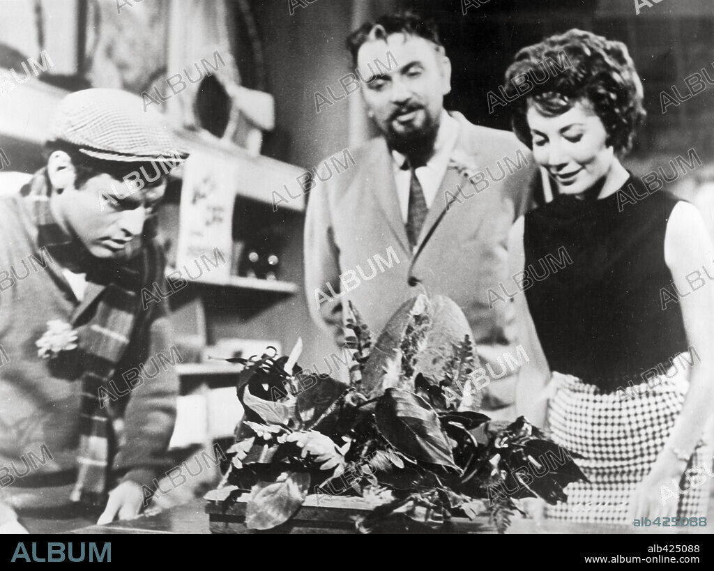 THE LITTLE SHOP OF HORRORS, 1960, réalisé par ROGER CORMAN. Copyright 70M FILMGROUP.