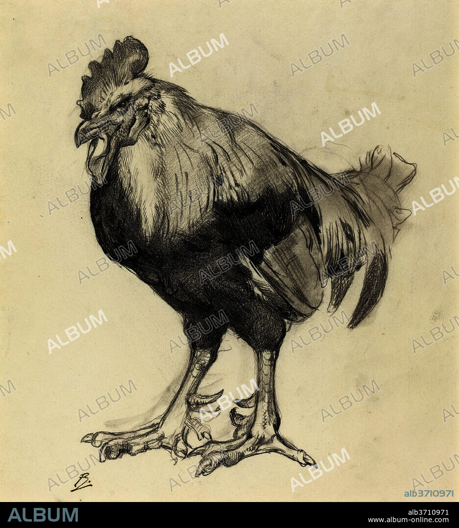 FéLIX BRACQUEMOND. The Old Cock. Dimensions: overall: 41.8 x 26.2 cm (16 7/16 x 10 5/16 in.). Medium: graphite.
