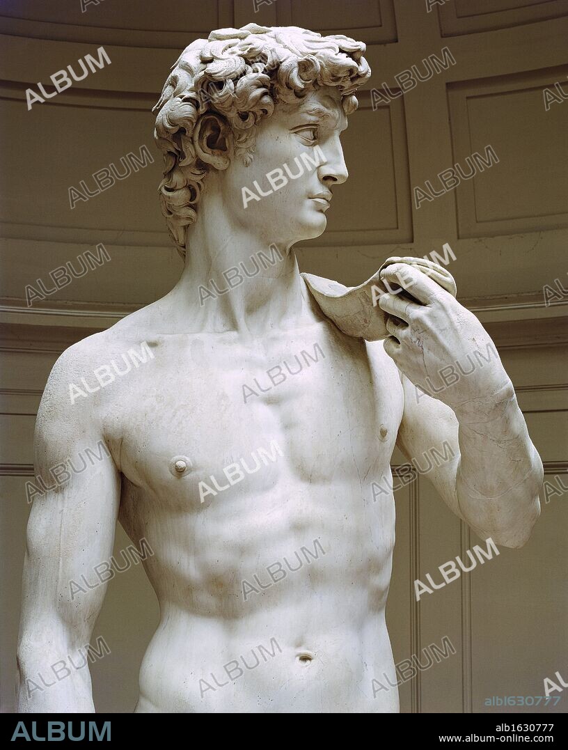 MIGUEL ANGEL. David (Detail)   ca.1501-04  Michelangelo Buonarroti (1475-1843 Italian)  Marble   Galleria dell'Accademia, Florence.