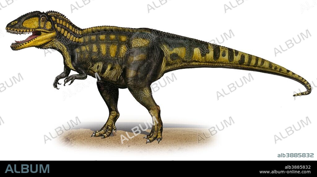 Carcharodontosaurus iguidensis, a prehistoric era dinosaur from the Cretaceous period.