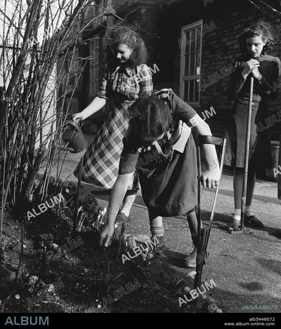 School For Handicapped Children - The older girls look after the School garden. Kathleen Pearson, with both legs affected by poliomyelitis, uses her crutch to balance during a spell of weeding, while Sheila Bluck, with a heart affected by rheumatism, uses the watering-can. This little girl has become an expert gardener. July 28, 1953. (Photo by Central Office of Information Photograph).