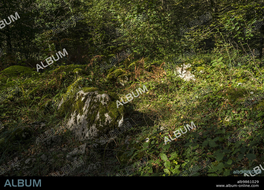 Trikuharria dolmen, Aralar natural park, Guipuzcoa-Navarra, Spain.