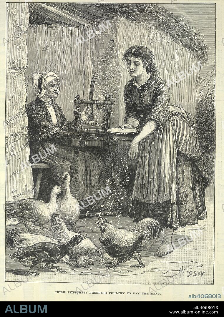 Poverty in Ireland. Illustrated London News. London, April 21st, 1888. Irish sketches: Breeding poultry to pay the rent'.  Image taken from Illustrated London News.  Originally published/produced in London, April 21st, 1888. . Source: P.P.7611 volume 92, 462 (left).