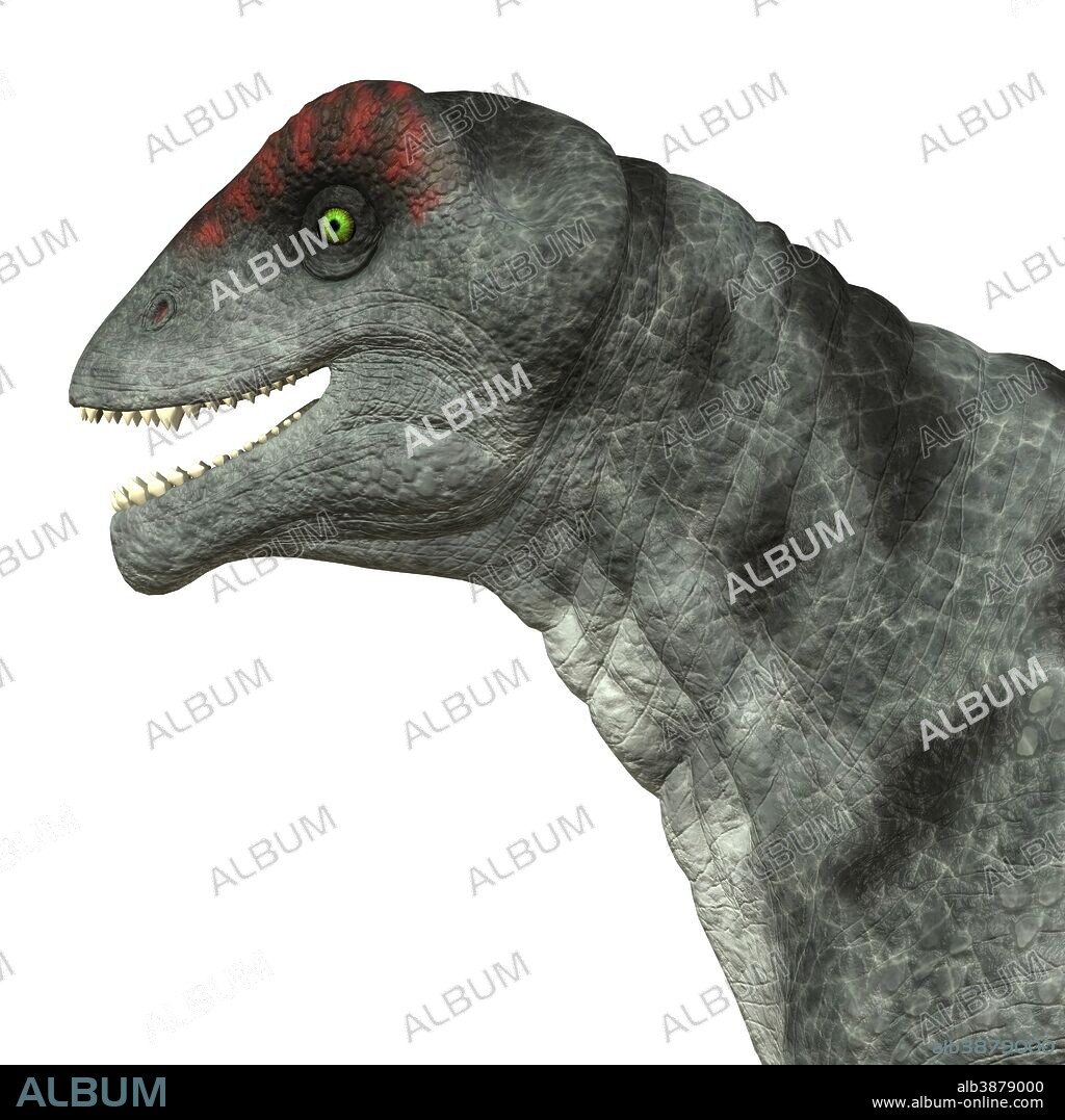 Moschops was a primeval herbivorous dinosaur that lived in South Africa in the Permian Period.