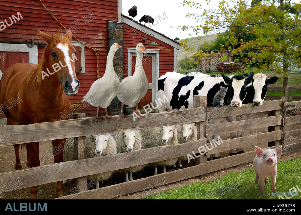 LA TELARAÑA DE CARLOTA, 2006 (CHARLOTTE'S WEB), dirigida por GARY WINICK. Copyright PARAMOUNT PICTURES.