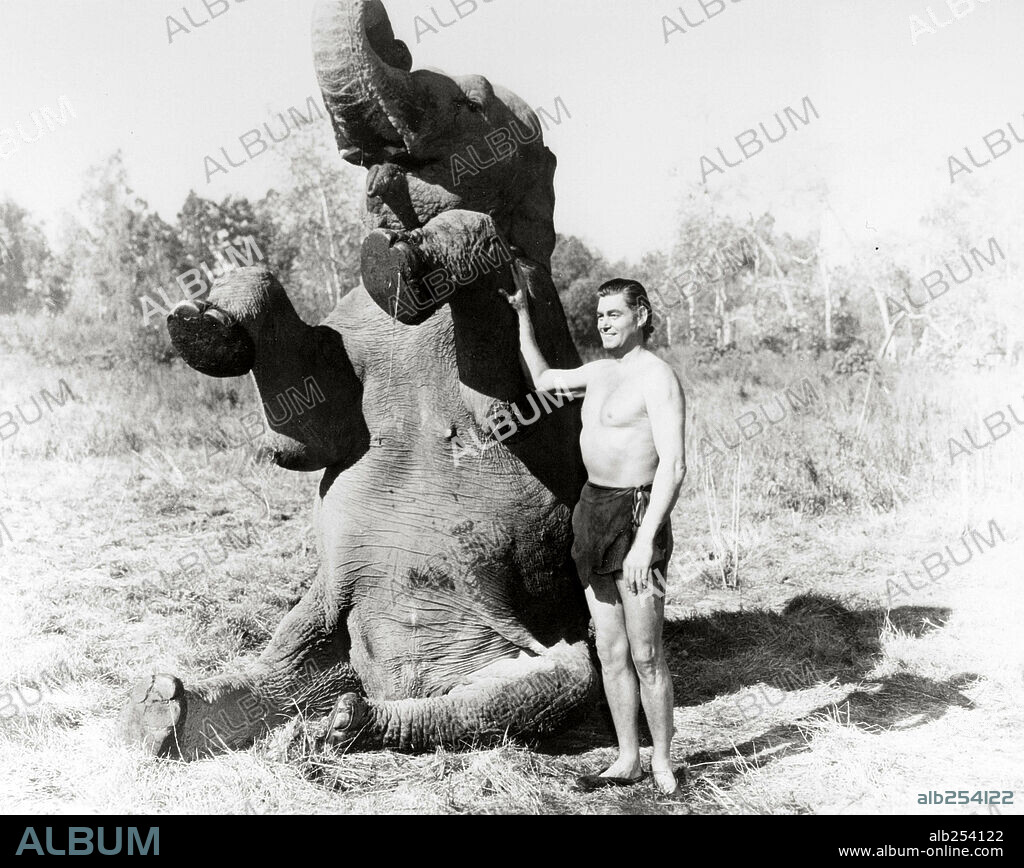 JOHNNY WEISSMULLER en TARZAN Y LA CAZADORA, 1947 (TARZAN AND THE HUNTRESS), dirigida por KURT NEUMANN. Copyright RKO.