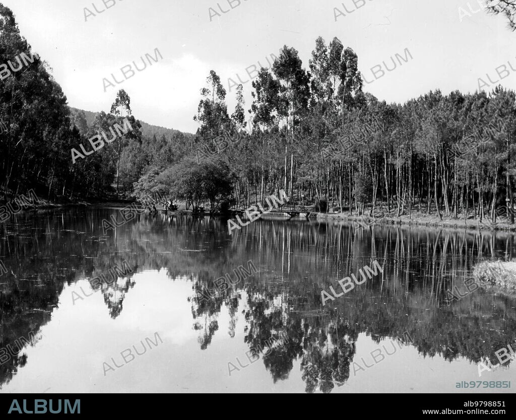 1960. Vista del coto redondo los Inmensos Pinares sobre la ría.
