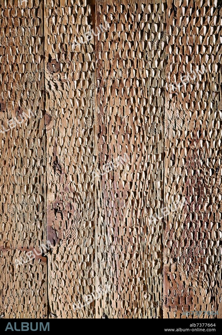 TRILLA DE MADERA DE PINO Y PEDERNAL.