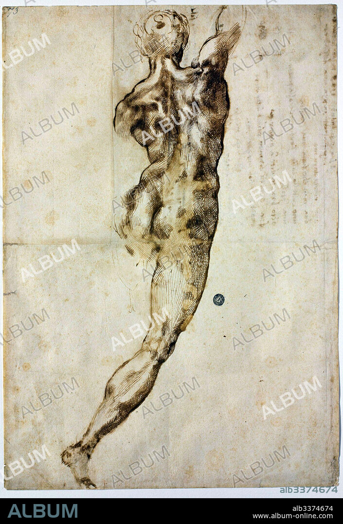 MIGUEL ANGEL. Nude from behind.