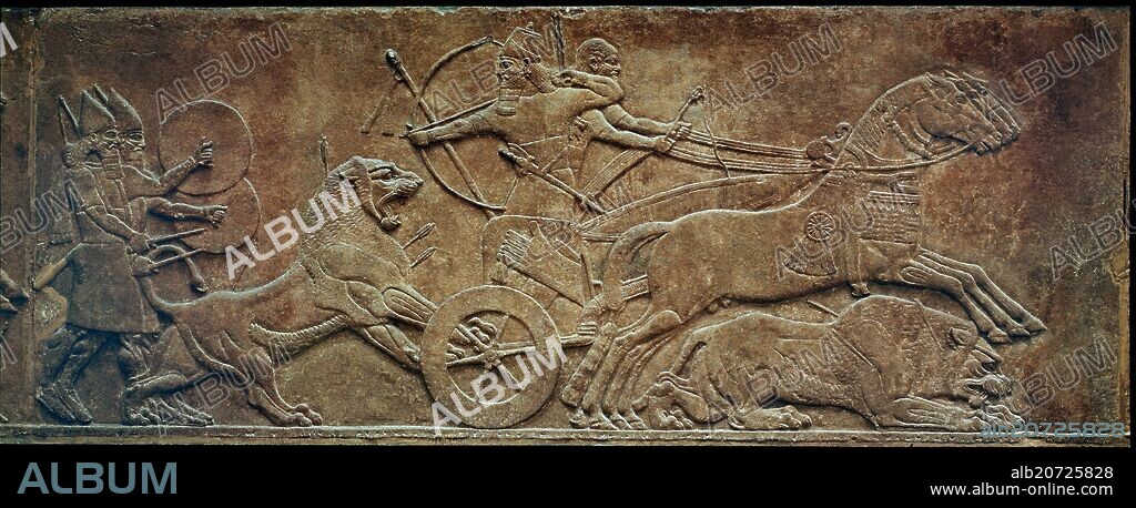 Assurbanipal hunting lions. Relief discovered in Ninive, capital of the Assyrian empire, known today as Tell Kouyoundjik and Tell Nebi Younous in Irak. 650 B.C.. London, British Museum.