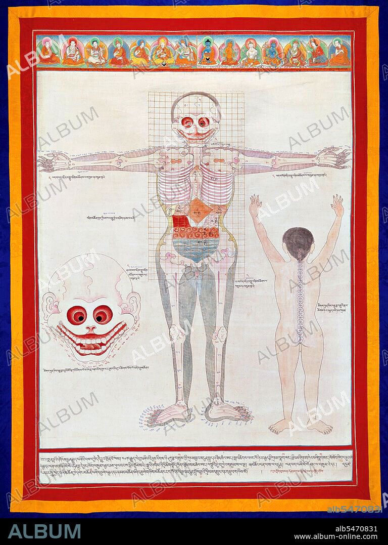 Anatomical drawing of a male body showing the bones and organs. Tibet - Early 20th century Thangka, Gouache on paper. Tibetan medicine or Sowa-Rigpa ('Healing Science') is a centuries-old traditional medical system that employs a complex approach to diagnosis, incorporating techniques such as pulse analysis and urinalysis, and utilizes behavior and dietary modification, medicines composed of natural materials (e.g., herbs and minerals) and physical therapies (e.g. Tibetan acupuncture, moxabustion, etc.) to treat illness. The Tibetan medical system is based upon a synthesis of the Indian (Ayurveda), Persian (Unani), Greek, indigenous Tibetan, and Chinese medical systems, and it continues to be practiced in Tibet, India, Nepal, Bhutan, Ladakh, Siberia, China and Mongolia, as well as more recently in parts of Europe and North America. It embraces the traditional Buddhist belief that all illness ultimately results from the 'three poisons' of the mind: ignorance, attachment and aversion.