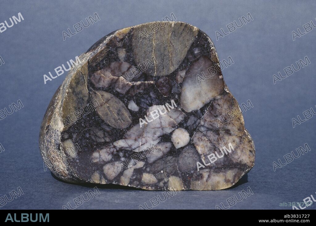Sedimentary conglomerate rock from Tasmania, Australia.
