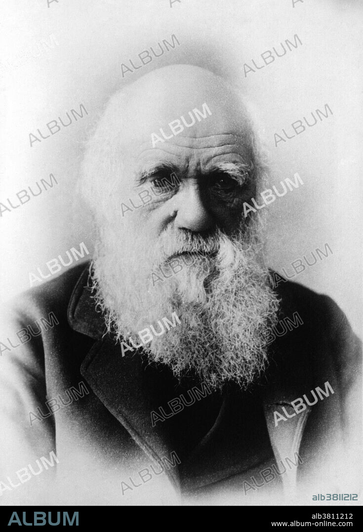 Charles Robert Darwin (February 12, 1809 - April 19, 1882) was an English naturalist, geologist and biologist. Studies at the University of Cambridge encouraged his passion for natural science. Puzzled by the geographical distribution of wildlife and fossils he collected on the five-year voyage on HMS Beagle, Darwin began detailed investigations and in 1838 conceived his theory of natural selection. Although he discussed his ideas with several naturalists, he needed time for extensive research and his geological work had priority. He was writing up his theory in 1858 when Alfred Russel Wallace sent him an essay that described the same idea, prompting immediate joint publication of both of their theories. Darwin's work established evolutionary descent with modification as the dominant scientific explanation of diversification in nature. In 1871 he examined human evolution and sexual selection in The Descent of Man, and Selection in Relation to Sex, followed by The Expression of the Emotions in Man and Animals (1872). Darwin has been described as one of the most influential figures in human history. He died in 1882, at the age of 73, and he was honored by burial in Westminster Abbey.