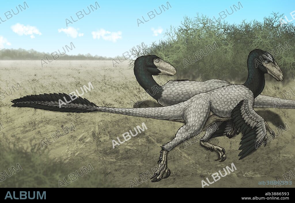 Two Dromaeosaurus dinosaurs sunbathing in the Late Cretaceous Period.