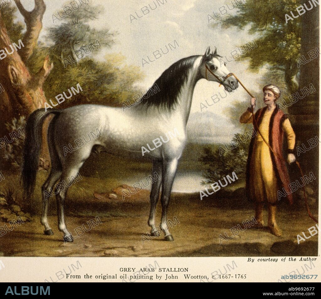 Grey Arab Stallion. From the original oil painting by John Wootton 1687-1765. John Wootton (ca.1682 -1764) was an English painter of sporting subjects, battle scenes and landscapes. Born in Snitterfield, Warwickshire (near Stratford-upon-Avon), he is best remembered as a pioneer in the painting of sporting subjects, and was considered the finest practitioner of the genre in his day. As such, his paintings were very fashionable and were sought after by those among the highest strata of the British society - George II of England, Frederick, Prince of Wales, and the Duke of Marlborough. He is now somewhat eclipsed in the field of animal paintings by the later George Stubbs (1724-1806), who is considered technically superior. John Wootton died in London on November 13, 1764. ©TopFoto.