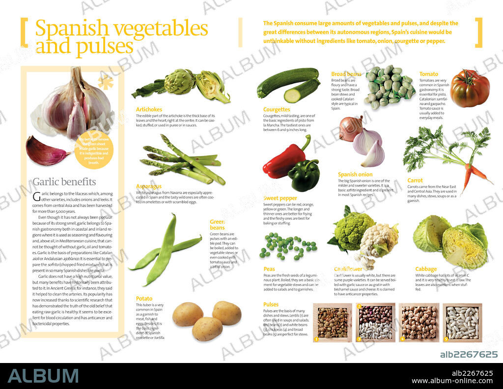 Verduras y legumbres españolas. Infografía sobre las diferentes verduras y hortalizas propias de la cocina española.