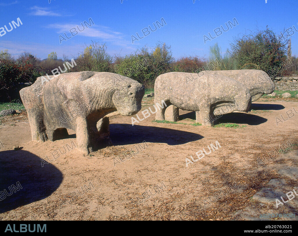 TOROS DE GUISANDO - VERRACOS DE VETTONES-  ESCULTURA EN PIEDRA - S III/II AC.