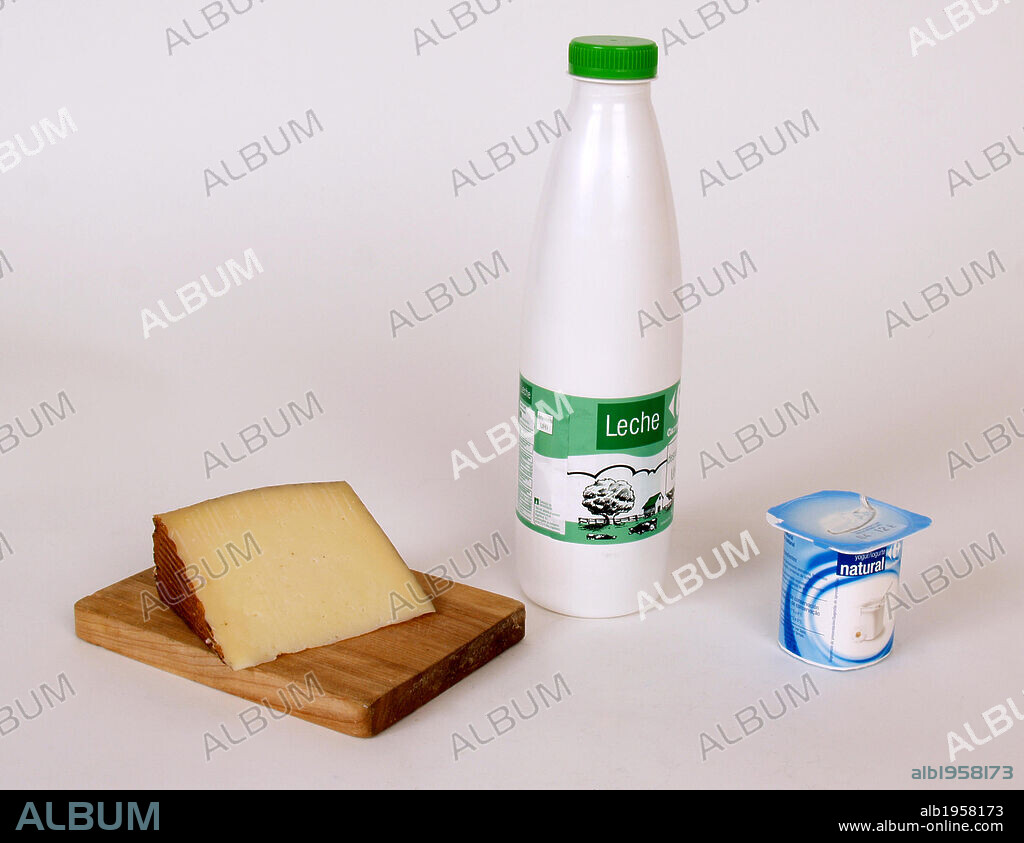 BODEGON PRODUCTOS LACTEOS. QUESO, LECHE Y YOGURT.