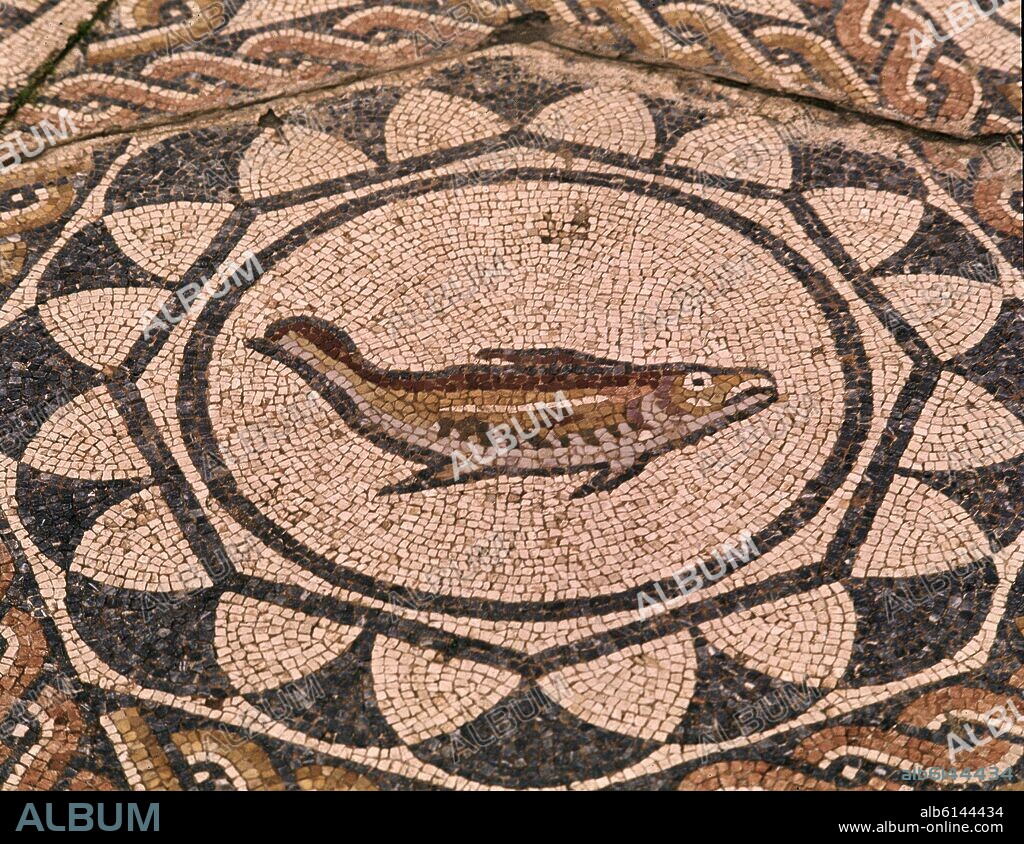 MOSAICO-PEZ.