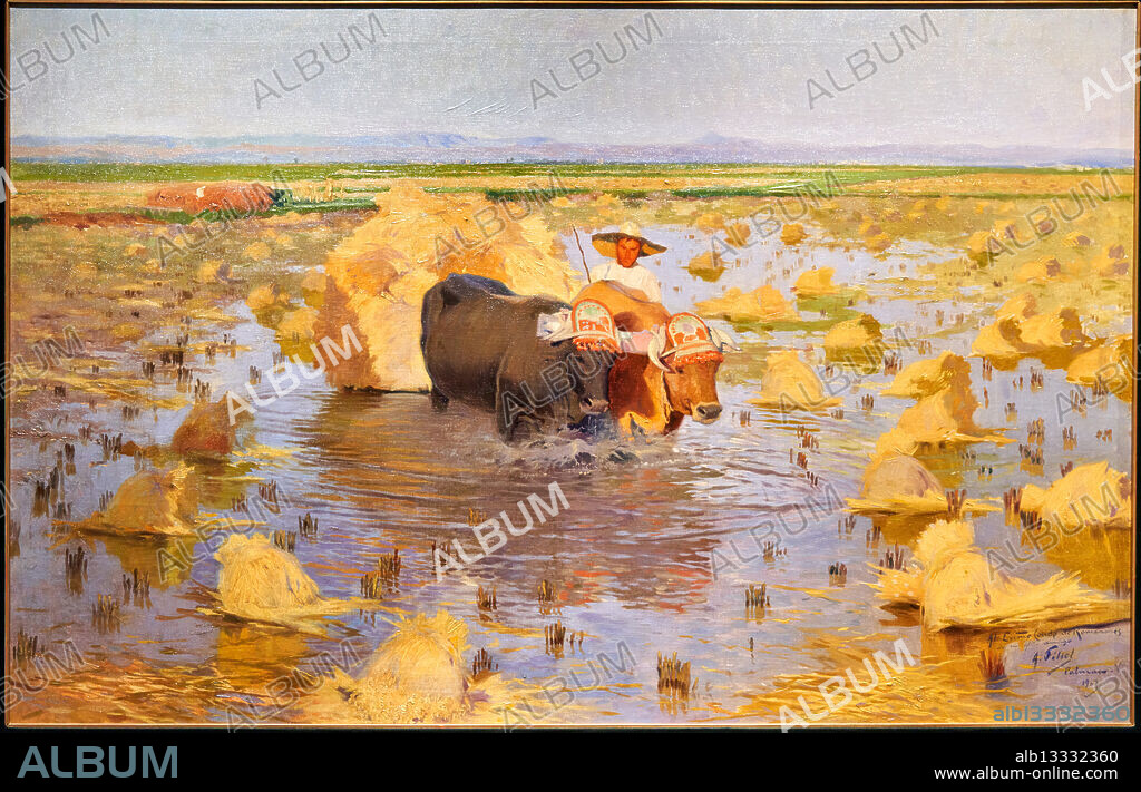 La siega del arroz en la Albufera de Valencia, 1903, ANTONIO FILLOL GRANELL (1870-1930), Museo de Bellas Artes de Valencia, Comunidad Valenciana, Spain.