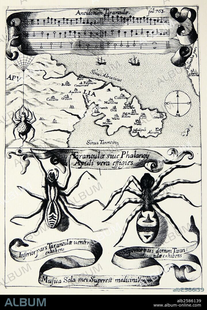 Probably first published illustration of Tarantella legend. Bite of spider Lycosa tarantula thought to cause Tarantism, an illness in which the suffer wept and swept before going into a wild dance. From ''Magnes, sive de Ars Magnetica'', Rome, 1643, by Athanasius Kircher.