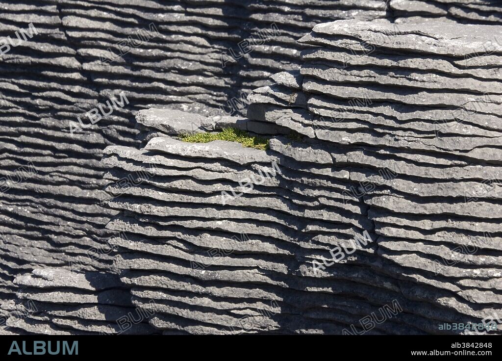 The "Pancake Rocks," heavily eroded limestone outcroppings; Punakaiki, South Island, New Zealand. The rocks were formed by a chemical process called "stylobedding," which caused sediments to be laid down in alternate bands of durable and less-durable layers. Subsequent uplift and weathering has resulted in immense stacks of limestone, interspersed with "blowholes," which the waves burst through at high tide. The Pancake Rocks are a popular tourist destination, drawing thousands of visitors a year.