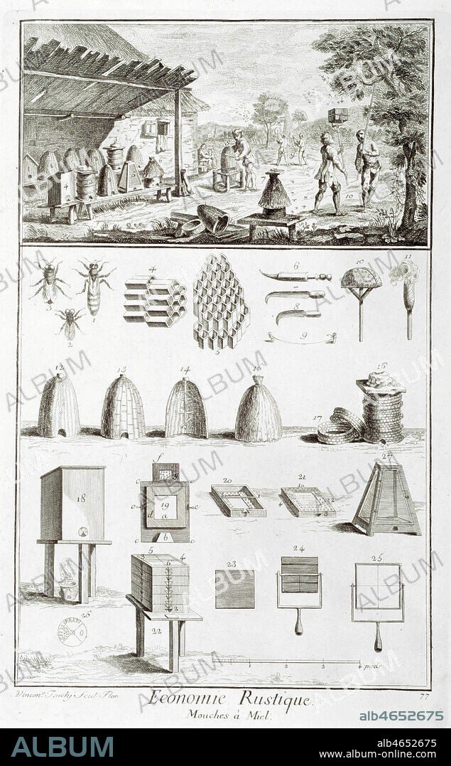 Economie rustique : mouches a miel. En haut, le rucher, en bas les differents type de ruches. Planche de l'encyclopedie DIDEROT ET D'ALEMBERT (ou dictionnaire raisonne des sciences, des arts et des metiers, recueillis des meilleurs auteurs...),1751-1772. Credit : Collection Mx/Kharbine-Tapabor.