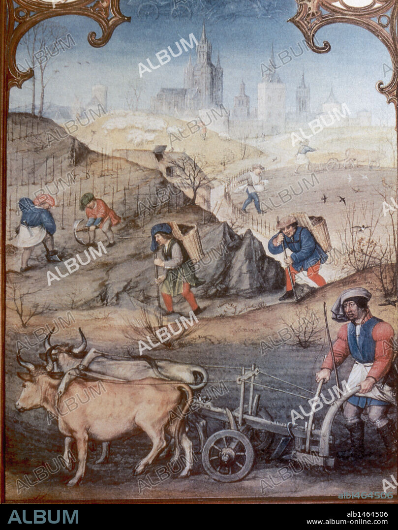 BAJA EDAD MEDIA. "ESCENA DE CAMPESINOS, ARANDO Y SEMBRANDO". Miniatura del "Breviario Grimani" de finales del siglo XV. Biblioteca de San Marcos. Venecia. Italia.