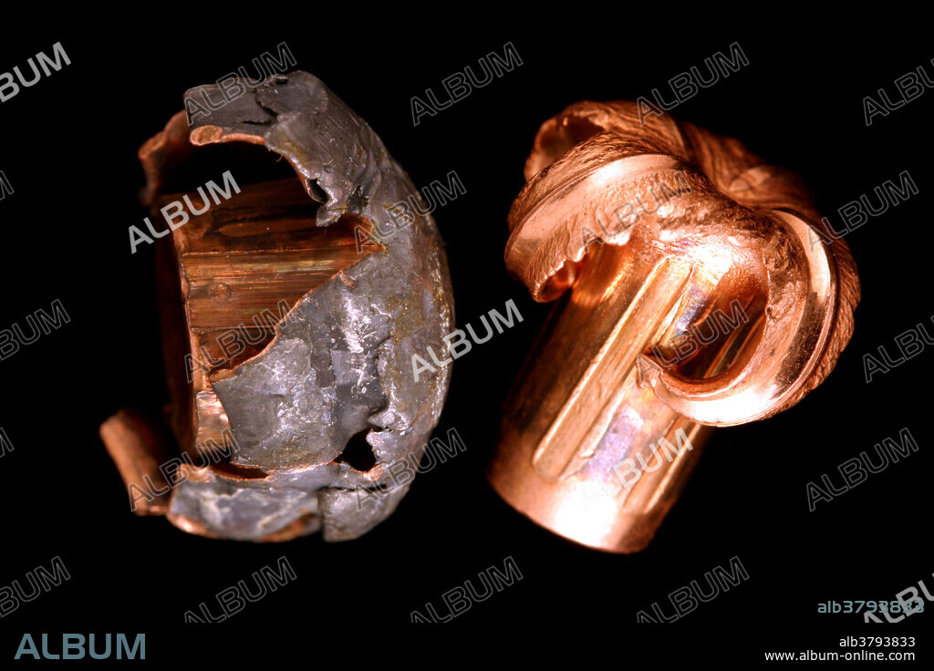 A hollow point brass bullet is compared to a lead filled hollow point bullet. These bullets were photographed after being fired from a rifle into a block of ballistic gelatin. These bullets are designed to peal open on impact to obtain the largest amount of damage to the target. These bullets are designed for hunting animals.