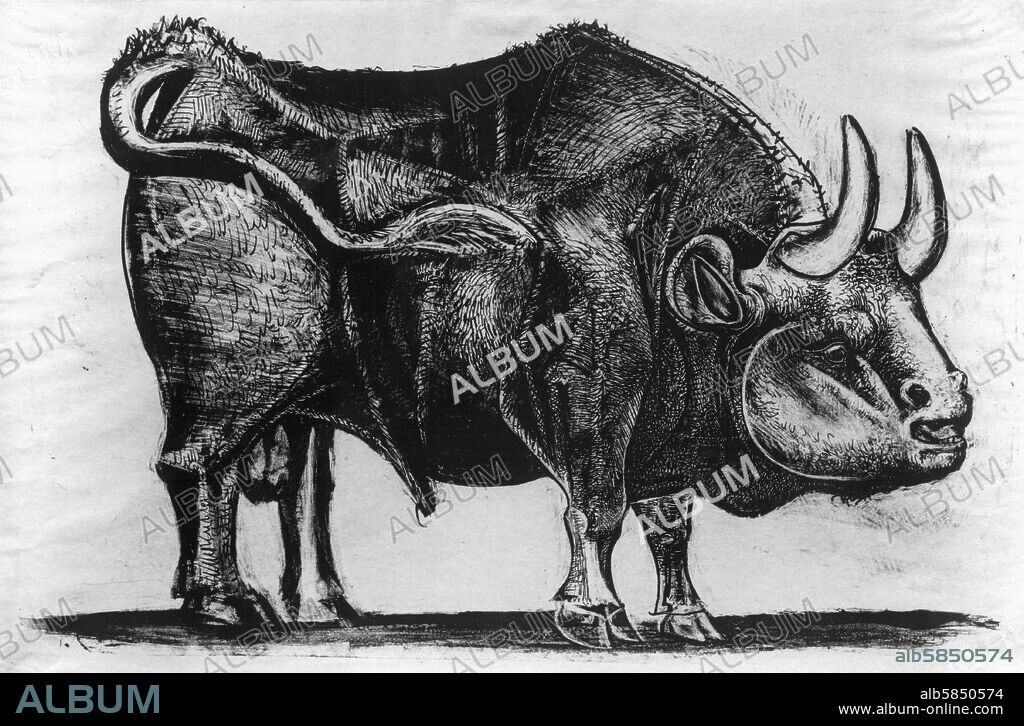 PABLO PICASSO. Bull, 1946 Lithograph, 28.9 x 41 cm.