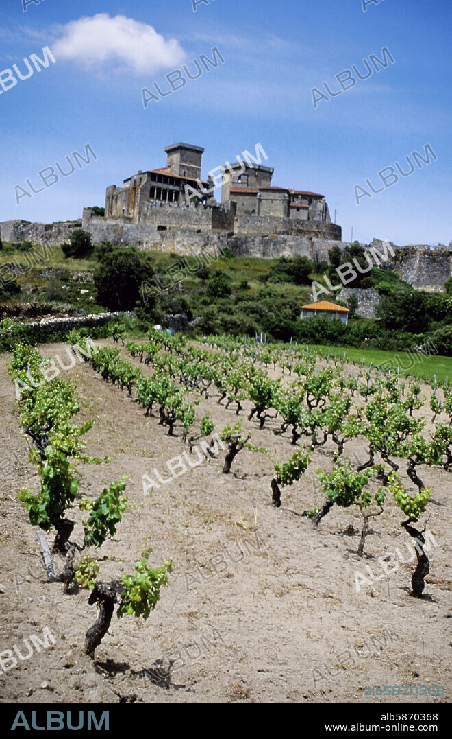 Verín, castillo de Monterrey y viñedos.