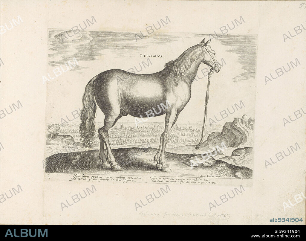 Horse from Thessaly, Thessalus (title on object), Horse breeds from the royal stables of Don Juan of Austria (series title), Equile, in quo omnis generis generosissi: morum equorum ex varijs orbis partibus insignis delectus (...) (series title on object), A Thessalian horse in a landscape. Print is part of an album., print maker: anonymous, Hieronymus Wierix, Venice, 1624 - before 1648, paper, engraving, height 193 mm × width 266 mm.