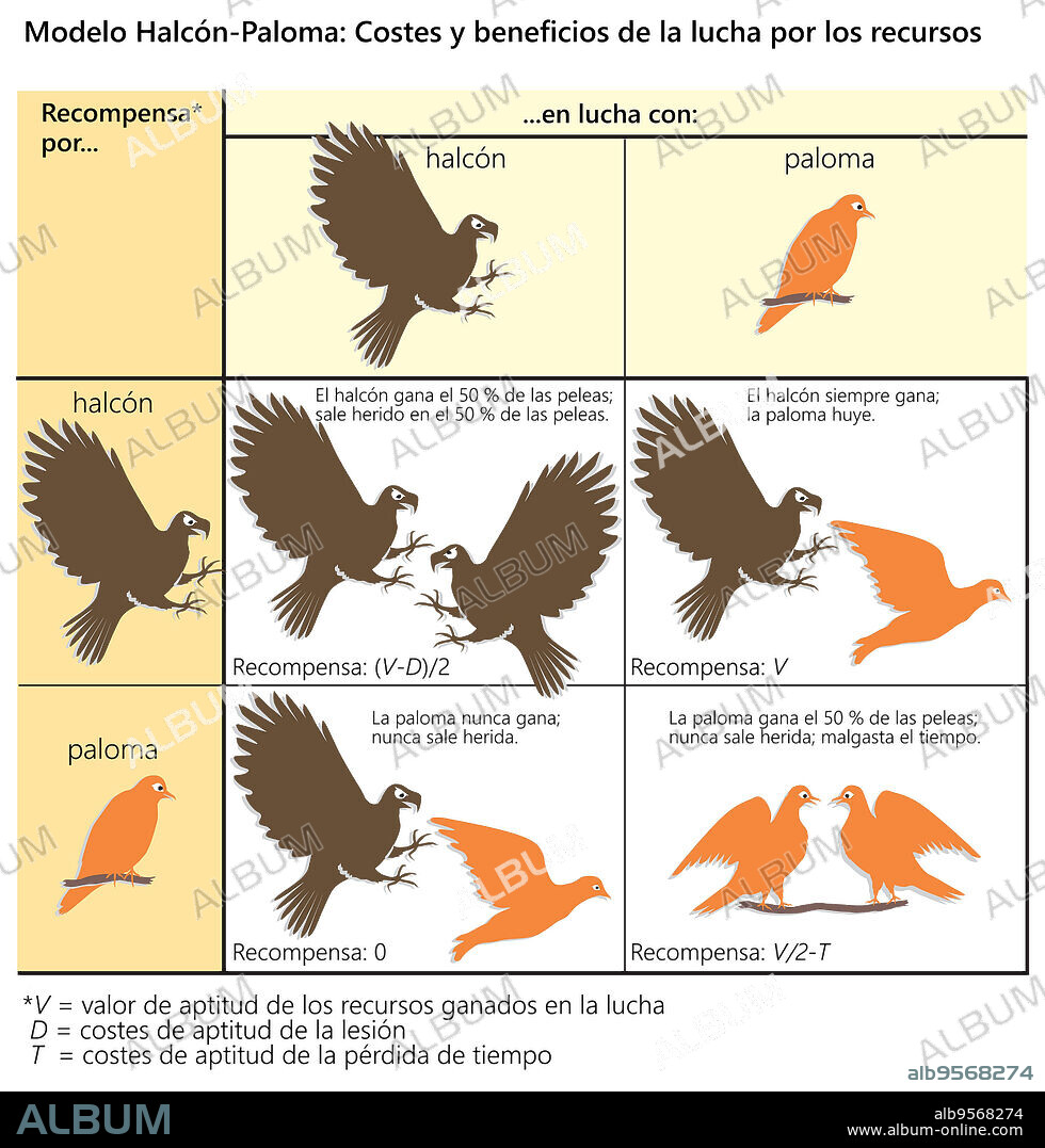 The Hawk-Dove model of game theory, illustrating the costs and benefits of fighting over resources.