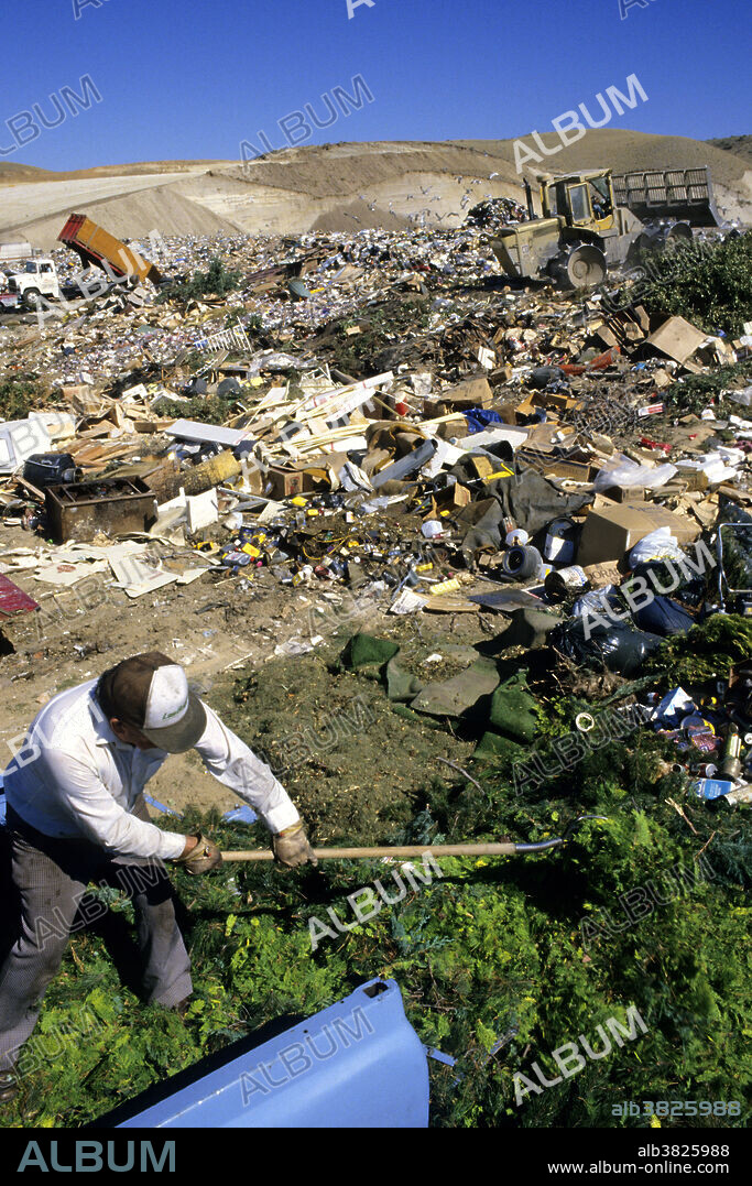 Man dumping yard waste at a landfill in Boise, Idaho.