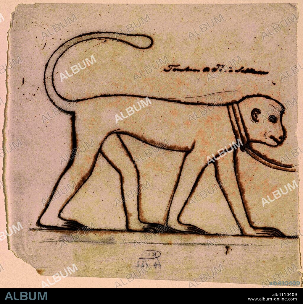 Egyptian relief sculpture: a monkey. Draughtsman: Willem de Famars Testas. Dating: 1844 - 1896. Measurements: h 216 mm × w 225 mm.