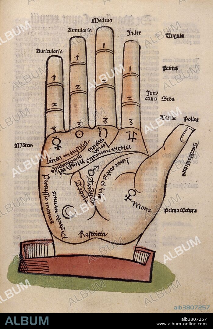 Palmistry is the claim of characterization and foretelling the future through the study of the palm. The practice is found all over the world, with numerous cultural variations. Those who practice chiromancy are called palmists, palm readers, hand readers, hand analysts, or chirologists. There are many, often conflicting, interpretations of various lines and palmar features across various schools of palmistry. These contradictions between different interpretations, as well as the lack of empirical support for palmistry's predictions, contribute to palmistry's perception as a pseudoscience. During the Middle Ages the art of palmistry was actively suppressed by the Catholic Church as pagan superstition. In Renaissance magic, palmistry was classified as one of the seven "forbidden arts," along with necromancy, geomancy, aeromancy, pyromancy, hydromancy, and spatulamancy (scapulimancy). From Antropologium de hominis dignitate, natura, et proprietatibus, de elementis, partibus, et membris humani corporis. De iuuamentis nocumentis, accidentibus, vitijs, remedijs, et physionomia ipsorum. De excreme[n]tis et exeu[n]tib[us] : de ani[m]a hu[m]ana et ipsius appendicijs by Magnus Hundt, 1501.