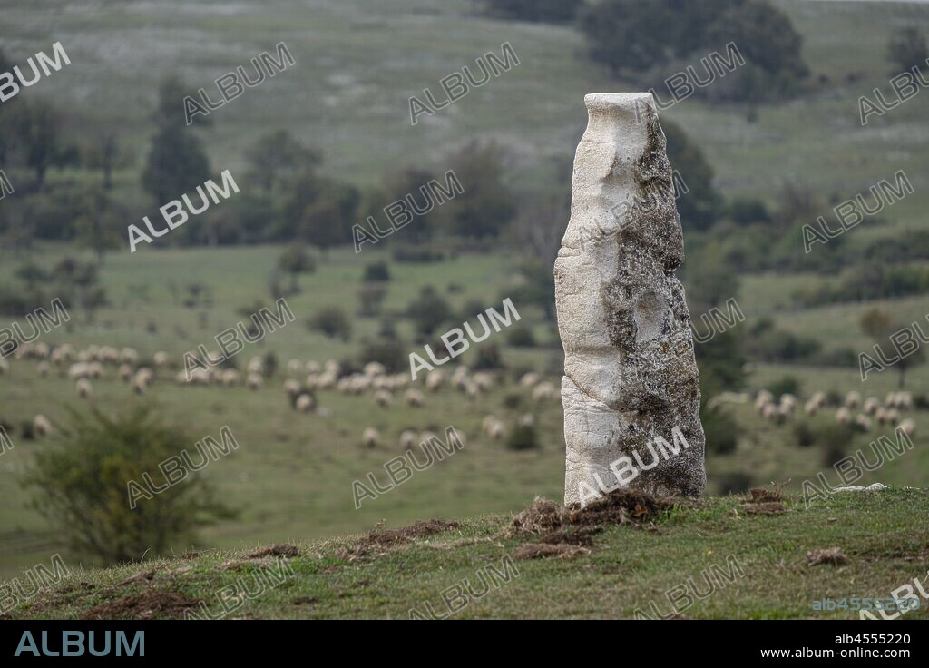 menhires, Parque Megalítico de Legaire, campas de Legaire , Álava, Pais Vasco, Spain.