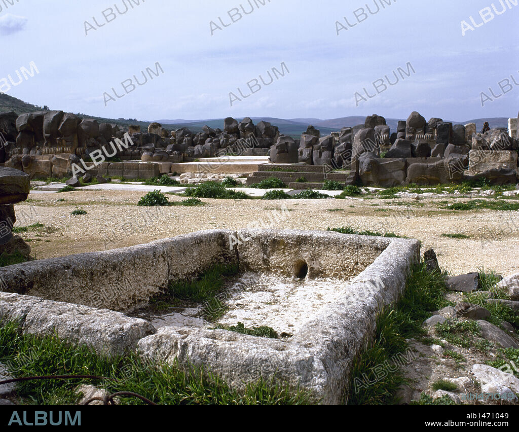 ARTE NEO-HITITA. SIRIA. (CIVILIZACIONES MEDITERRANEO ORIENTAL). TEMPLO DE AIN DARA (X-VIII a. C.). Vista general del recinto del templo. En primer término piscina ritual. Alrededores de Aleppo. SIRIA.