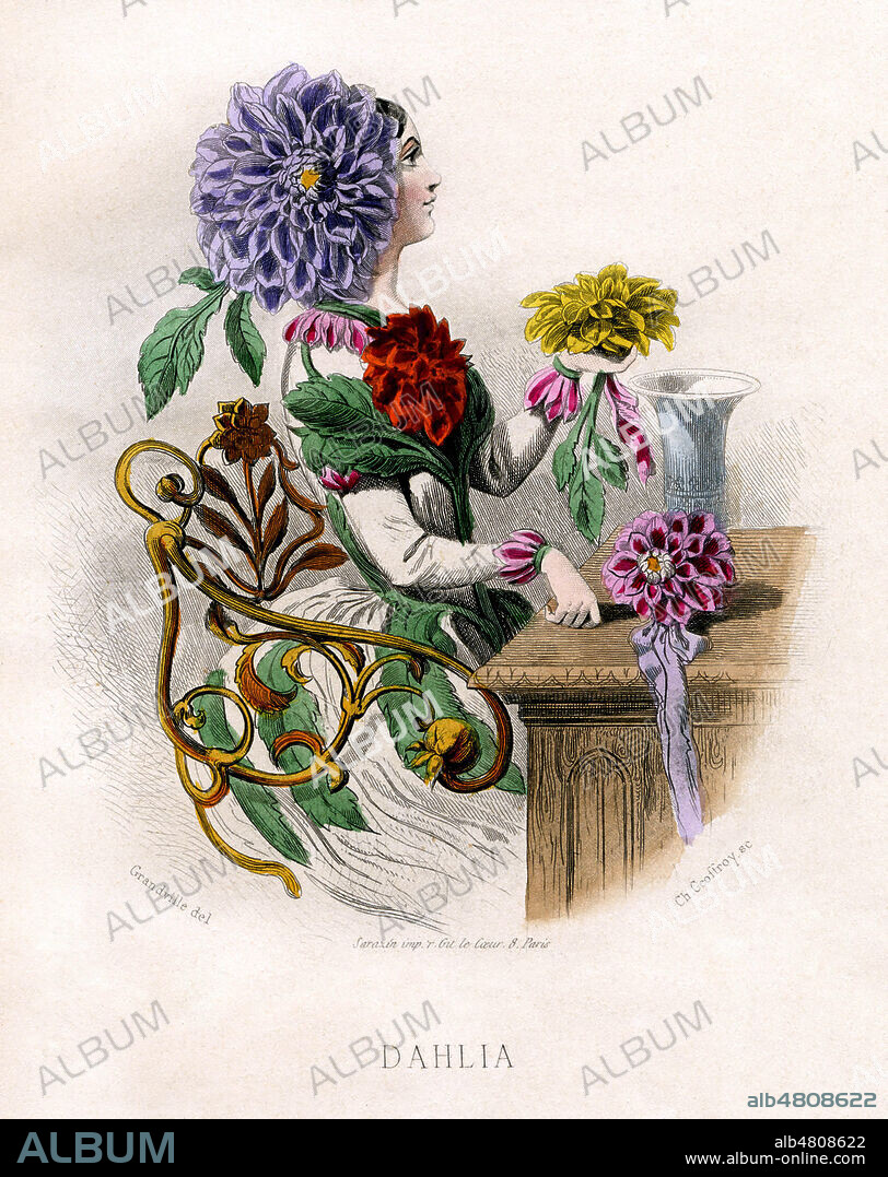 Dahlia. Illustration de GRANDVILLE (1803-1847) pour Les Fleurs animees de Taxile DELORD (1815-1877). (Edition de 1867-La 1ere edition date de 1847). Credit : Collection Jonas/Kharbine-Tapabor.