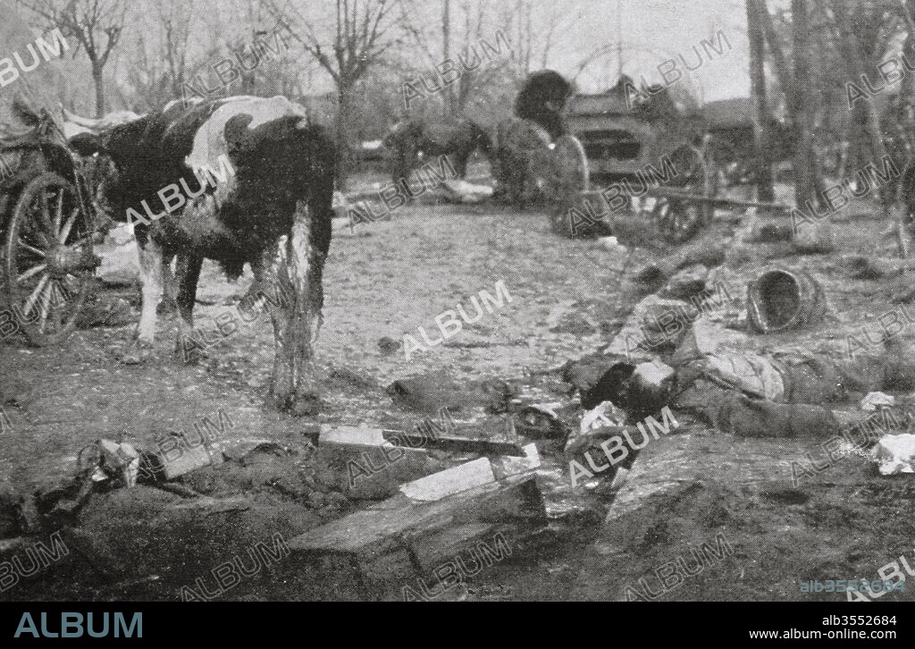 Guerra entre el Imperio austro-húngaro y Serbia. Iniciada el 28 de Julio de 1914 tras el atentado de Sarajevo, que debía ser el detonador para que estallara la I Guerra Mundial. Aspecto de una calle de Belgrado, capital de Serbia, el 15 de Diciembre de 1914, a la entrada de las tropas serbias al retornar a la ciudad.
