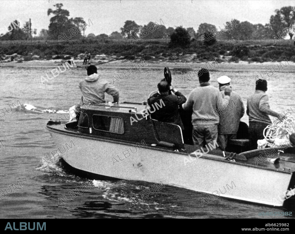 Wolfgang Gewalt. "Moby Dick", the white Belugale wale, swims on the Rhine in front of the wale hunters on the 1st of June in 1966. The wale was spotted on the 18th of May in 1966 in Duisburg for the first time. 01/06/1966